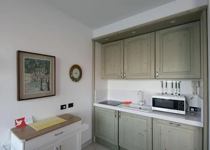 Punta Borromea By Interhome Lejlighed Stresa
